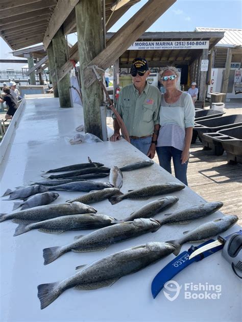gulf shores fishing report today.